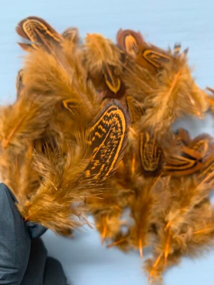 Набір натурального пір'я фазана теракотове 100 шт - Пір'я