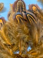 Набір натурального пір'я фазана теракотове 100 шт - Пір'я