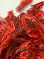 Набір натурального пір'я фазана бордове 100 шт - Пір'я