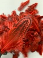 Набір натурального пір'я фазана бордове 100 шт - Пір'я