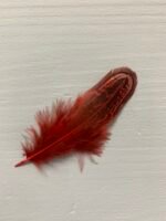 Набір натурального пір'я фазана бордове 100 шт - Пір'я