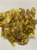 Набір натурального пір'я фазана салатово-жовте 100 шт - Пір'я