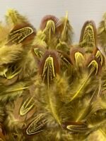 Набір натурального пір'я фазана салатово-жовте 100 шт - Пір'я