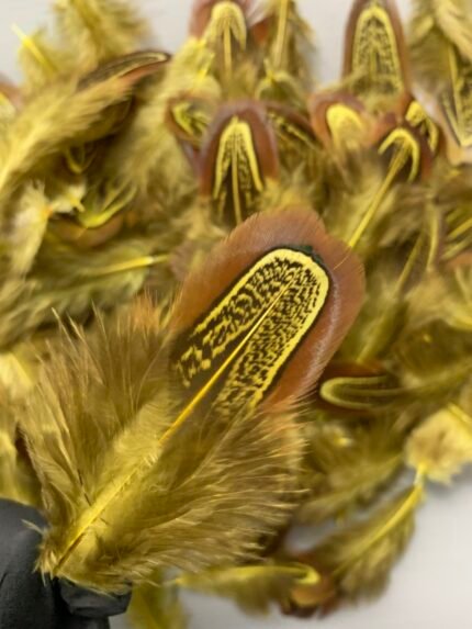 Набір натурального пір'я фазана салатово-жовте 100 шт - Пір'я