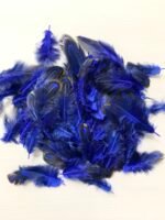 Набір натурального пір'я фазана синє 100 шт - Пір'я
