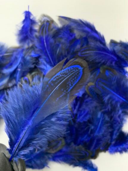 Набір натурального пір'я фазана синє 100 шт - Пір'я