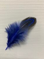 Набір натурального пір'я фазана синє 100 шт - Пір'я