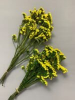 Статиця стабілізована жовта на зеленому стеблі 40 г - Статиця