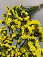 Статиця стабілізована жовта на зеленому стеблі 40 г - Статиця