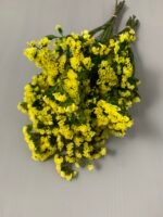 Статиця стабілізована жовта на зеленому стеблі 40 г - Статиця