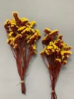 Статиця стабілізована жовта на червоному стеблі 40 г - Стабілізовані квіти
