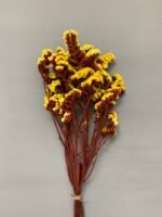 Статиця стабілізована жовта на червоному стеблі 40 г - Стабілізовані квіти