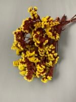 Статиця стабілізована жовта на червоному стеблі 40 г - Стабілізовані квіти