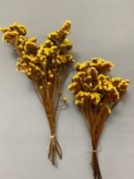 Статиця стабілізована жовта на помаранчевому стеблі 40 г - Стабілізовані квіти