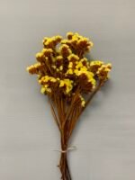 Статиця стабілізована жовта на помаранчевому стеблі 40 г - Стабілізовані квіти