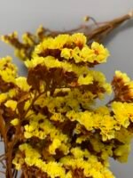 Статиця стабілізована жовта на помаранчевому стеблі 40 г - Стабілізовані квіти