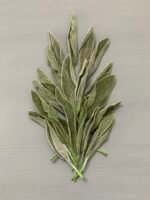 Чистець, листя зелене стабілізоване ( 20 шт ) - Листя стабілізовані