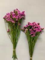 Статиця стабілізована рожева на зеленому стеблі 40 г - Стабілізовані квіти