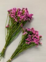 Статиця стабілізована рожева на зеленому стеблі 40 г - Стабілізовані квіти