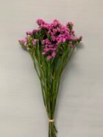 Статиця стабілізована рожева на зеленому стеблі 40 г - Стабілізовані квіти