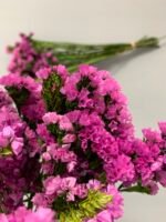 Статиця стабілізована рожева на зеленому стеблі 40 г - Стабілізовані квіти