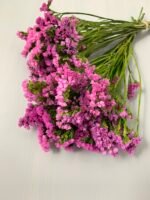 Статиця стабілізована рожева на зеленому стеблі 40 г - Стабілізовані квіти