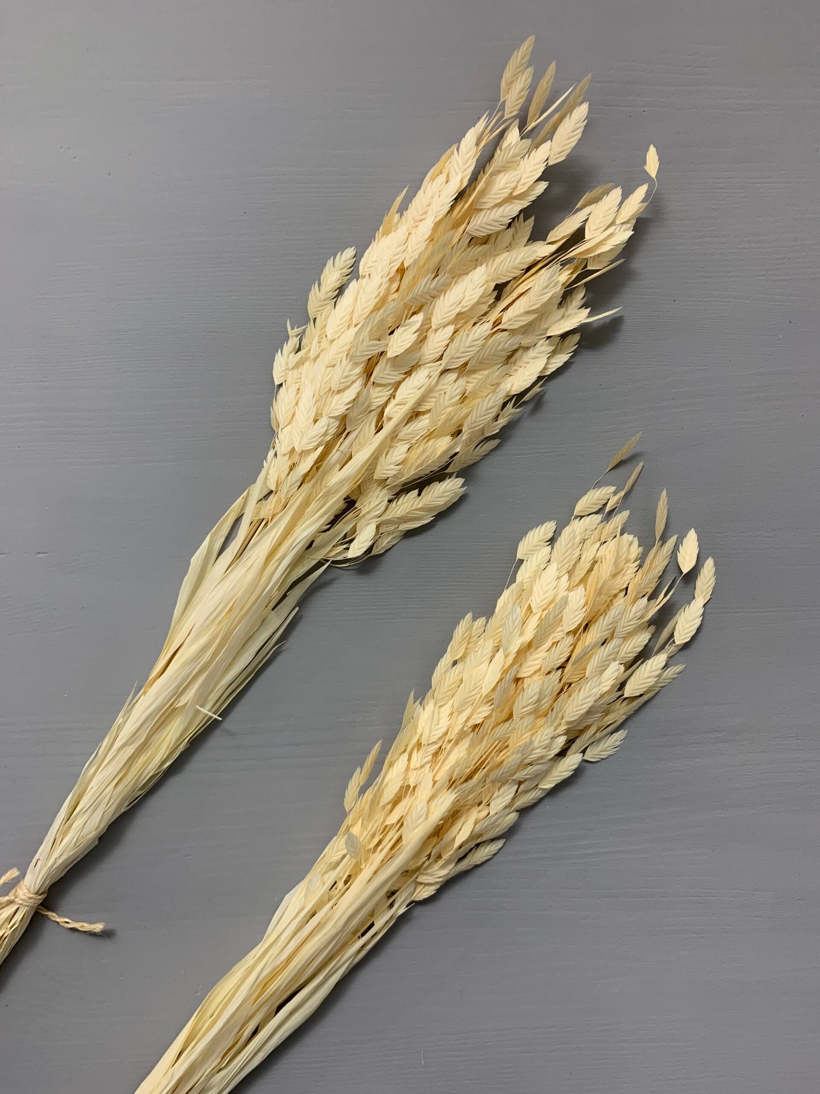 Хасмантіум вибілений сухоцвіт 15 шт - Інше Хасмантіум вибілений сухоцвіт 15 шт - Інше