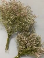 Статиця широколиста натуральна стабілізована 40 г - Статиця