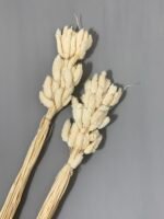 Фаляріс білий (60 гр) - Фаляріс