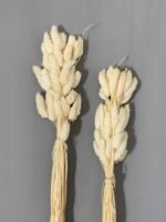 Фаляріс білий (60 гр) - Фаляріс