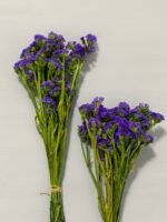 Статиця стабілізована фіолетова на зеленому стеблі 40 г - Стабілізовані квіти