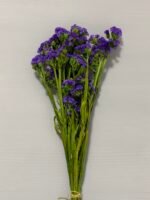 Статиця стабілізована фіолетова на зеленому стеблі 40 г - Стабілізовані квіти