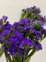 Статиця стабілізована фіолетова на зеленому стеблі 40 г - Стабілізовані квіти