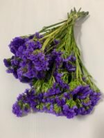Статиця стабілізована фіолетова на зеленому стеблі 40 г - Стабілізовані квіти