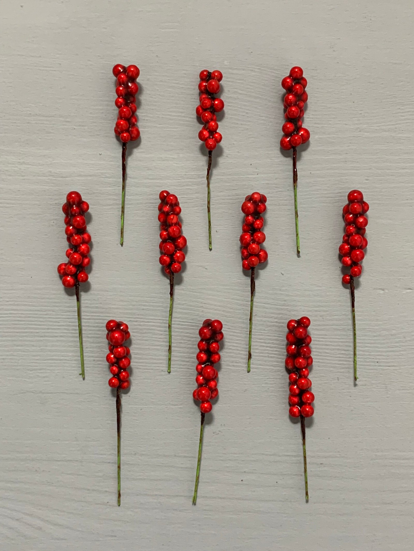 Штучні ягідки набір 10 шт, червоні 9 см. H35. - Штучні ягоди та плоди Штучні ягідки набір 10 шт, червоні 9 см. H35. - Штучні ягоди та плоди