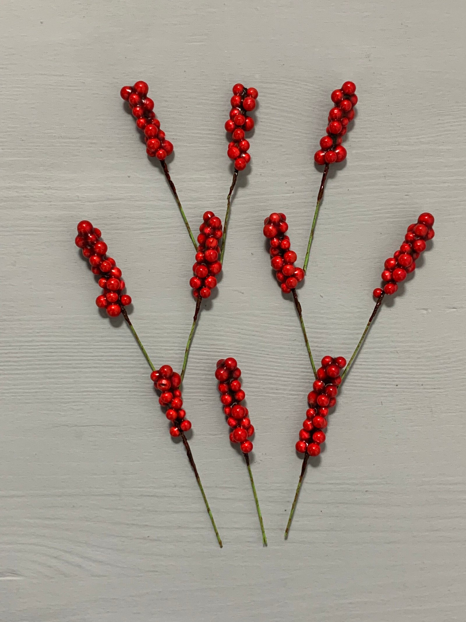 Штучні ягідки набір 10 шт, червоні 9 см. H35. - Штучні ягоди та плоди Штучні ягідки набір 10 шт, червоні 9 см. H35. - Штучні ягоди та плоди