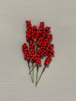 Штучні ягідки набір 10 шт, червоні 9 см. H35. - Штучні ягоди та плоди