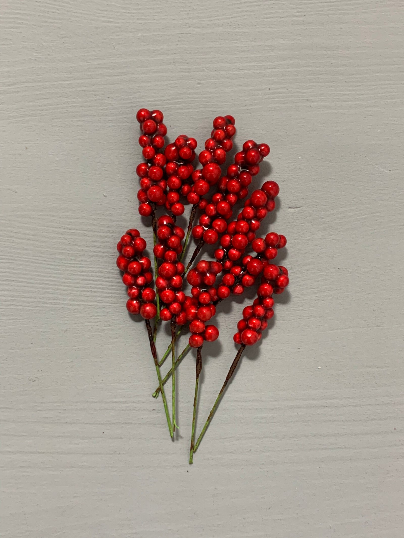 Штучні ягідки набір 10 шт, червоні 9 см. H35. - Штучні ягоди та плоди Штучні ягідки набір 10 шт, червоні 9 см. H35. - Штучні ягоди та плоди