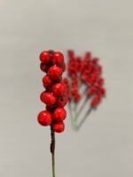 Штучні ягідки набір 10 шт, червоні 9 см. H35. - Штучні ягоди та плоди