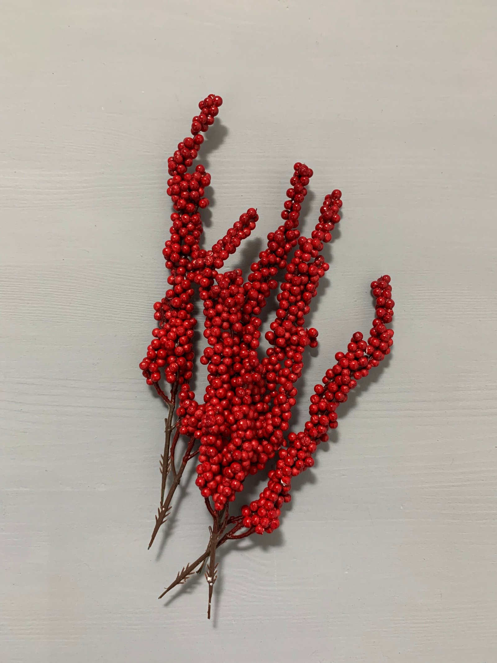 Штучні ягідки на стеблі червоні 29 см. T001. - Штучні ягоди та плоди Штучні ягідки на стеблі червоні 29 см. T001. - Штучні ягоди та плоди