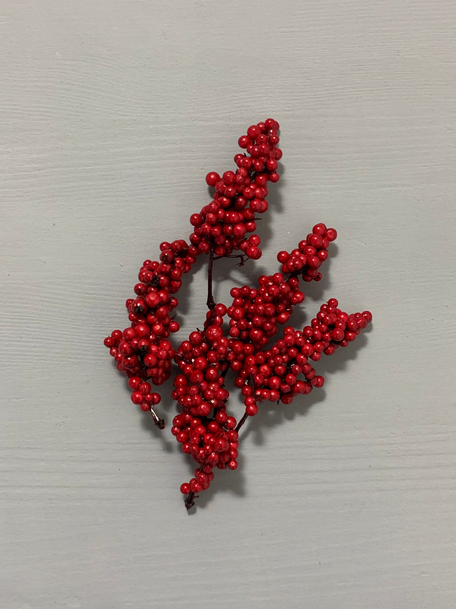 Штучні ягідки без стебла, червоні 10 см. N07-10. - Штучні ягоди та плоди Штучні ягідки без стебла, червоні 10 см. N07-10. - Штучні ягоди та плоди