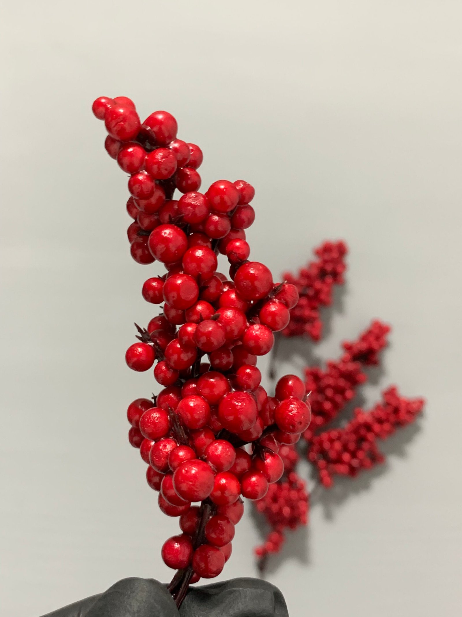 Штучні ягідки без стебла, червоні 10 см. N07-10. - Штучні ягоди та плоди Штучні ягідки без стебла, червоні 10 см. N07-10. - Штучні ягоди та плоди