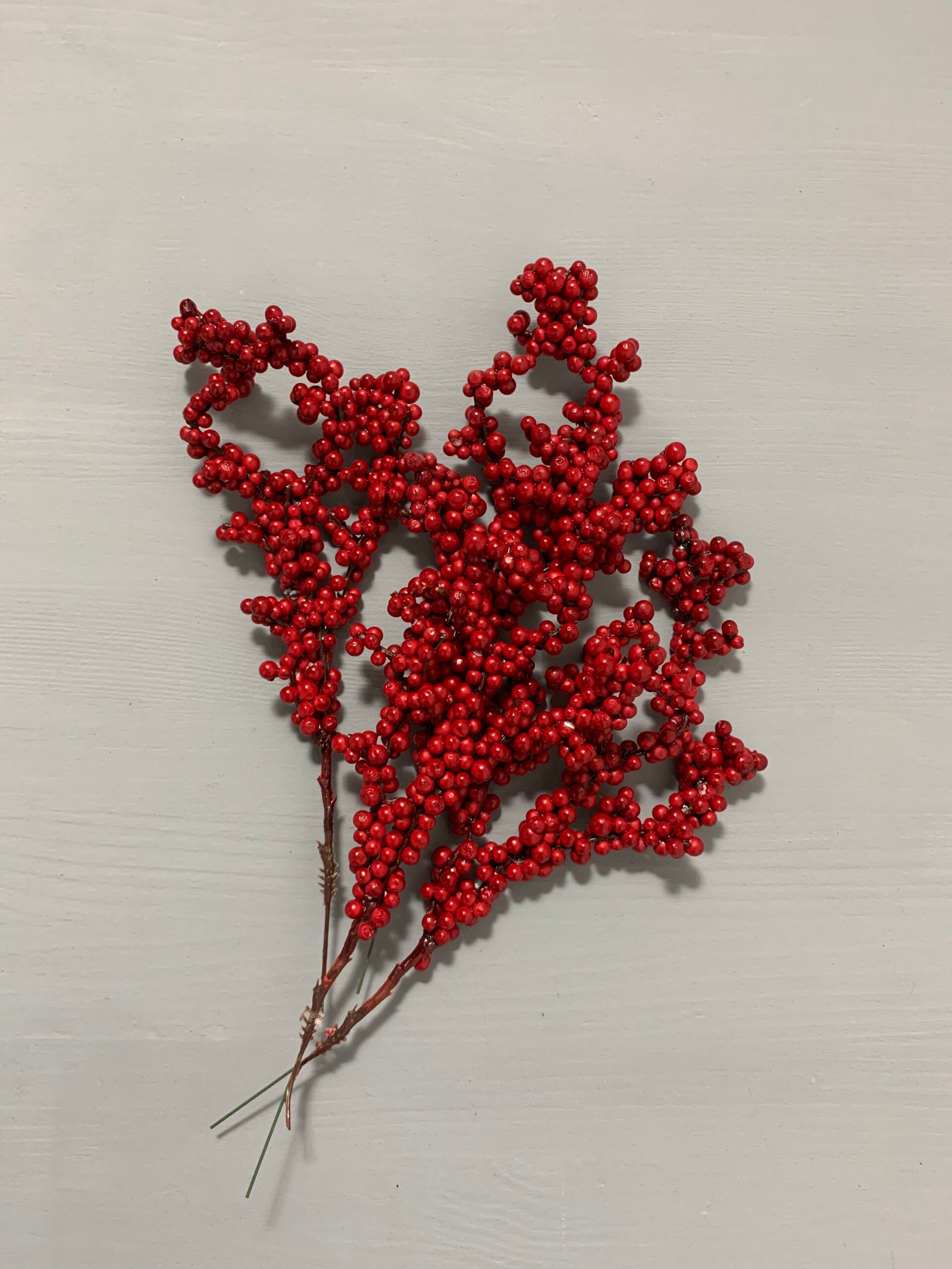 Штучні ягідки на стеблі червоні 29 см. T003. - Штучні ягоди та плоди Штучні ягідки на стеблі червоні 29 см. T003. - Штучні ягоди та плоди