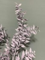 Рускус лавандовий сухий (3 шт) - Рускус сухий