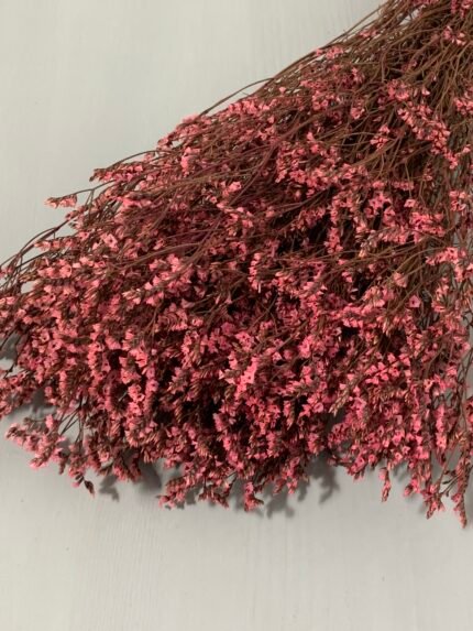 Лімоніум стабілізований рожевий 120 г - Лімоніум стабілізований