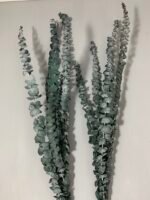 Евкаліпт стабілізований зелено-синій baby blue 40-65 см 5 гілок - Евкаліпт стабілізований