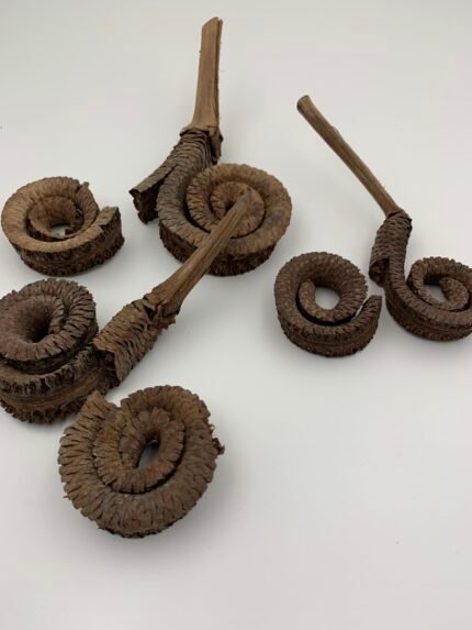 Сухоцвіт Palm Ring ( 12-15 см) 3 шт ІІ сорт - Інше