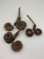 Сухоцвіт Palm Ring ( 12-15 см) 3 шт ІІ сорт - Інше