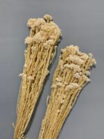 Озотамнус стабілізований вибілений перламутровий 70 г - Озотамус стабілізований