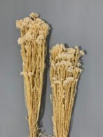 Озотамнус стабілізований вибілений перламутровий 70 г - Озотамус стабілізований